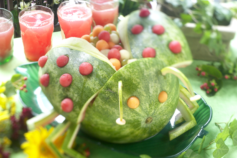 Watermelon Ladybug