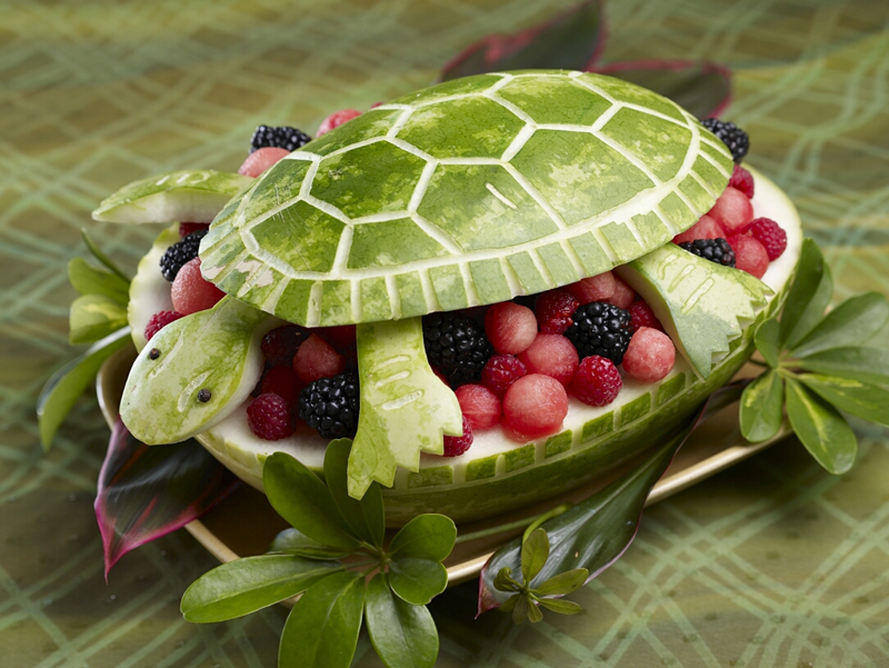 Watermelon Turtle